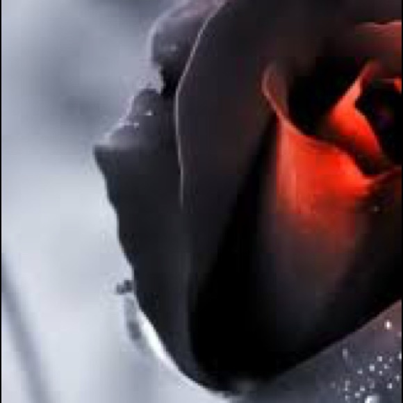 Meet your Posher, Dean - Picture 1 of 1